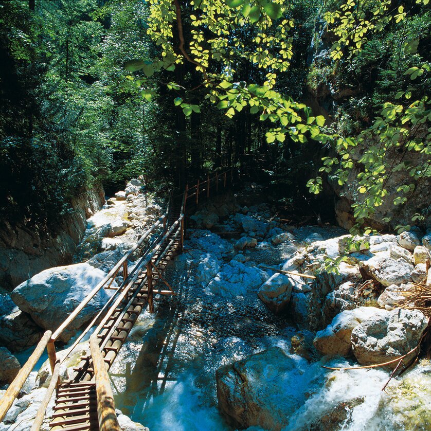 Bärenschützklamm | © Region Graz - Hans Wiesenhofer Ein Holzsteg führt über einen klaren Bach in der Bärenschützklamm | © Region Graz - Hans Wiesenhofer